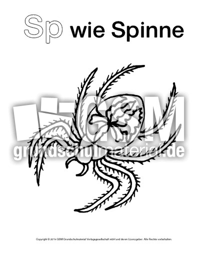 Sp-wie-Spinne-1.pdf